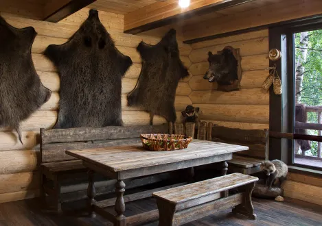 Hunting cabin