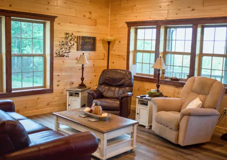 Homesteader cozy looking living room